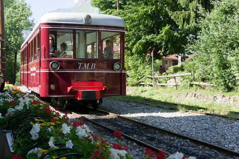 Tren-Mont-Blanc