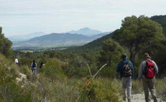 BosquesMadroños3